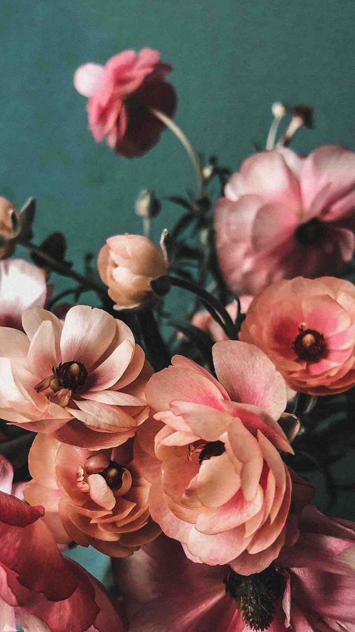 фон