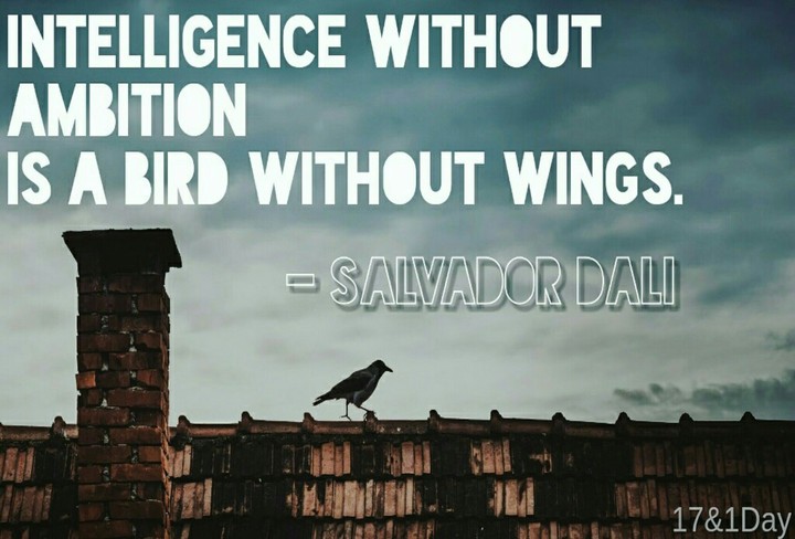 Quote