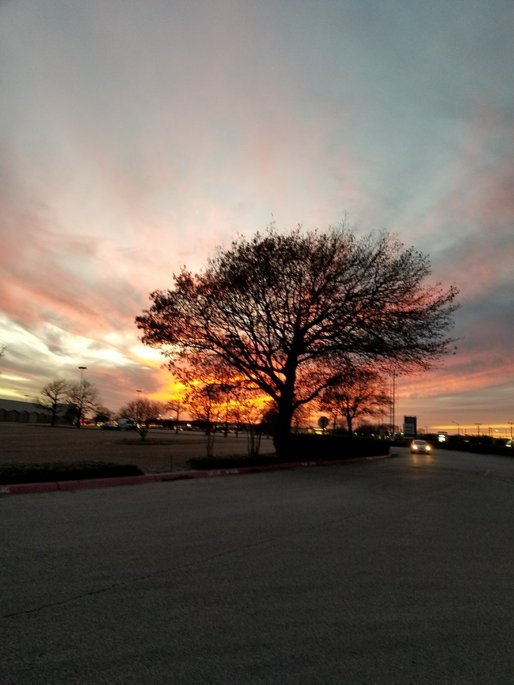 sunset