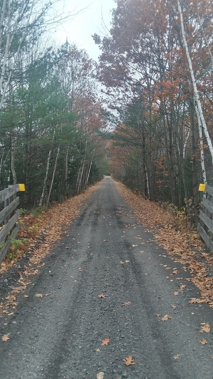 ATV Trail in NH