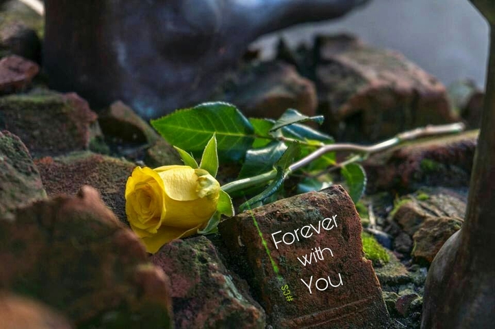 forever Love...