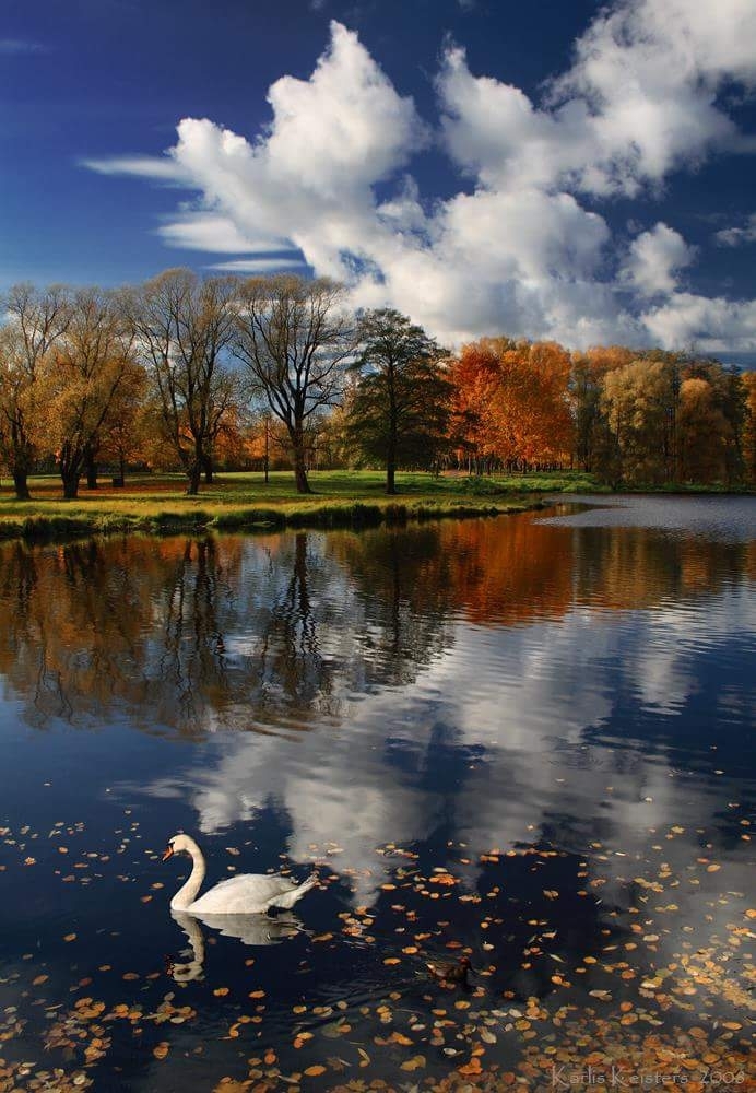 Autumn