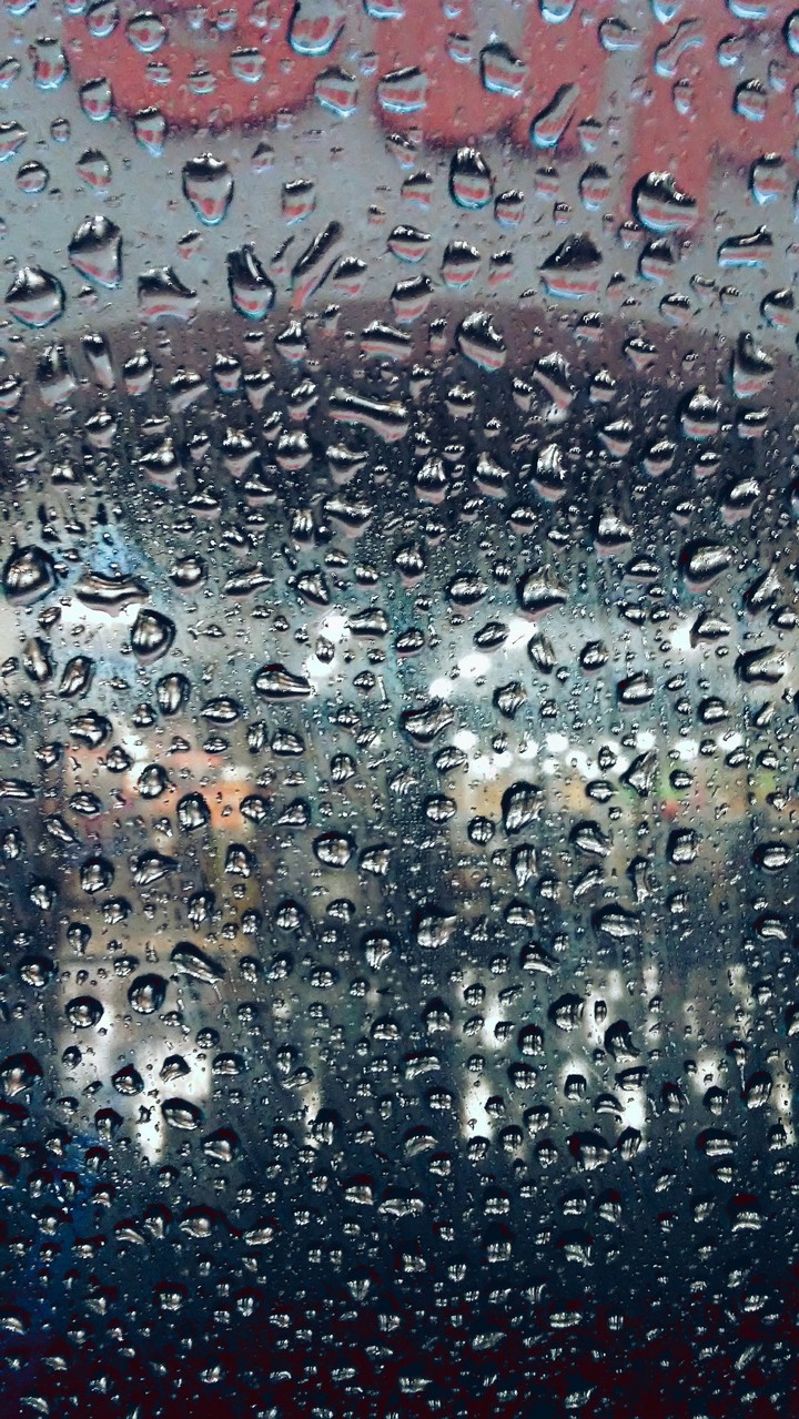 Rain.
