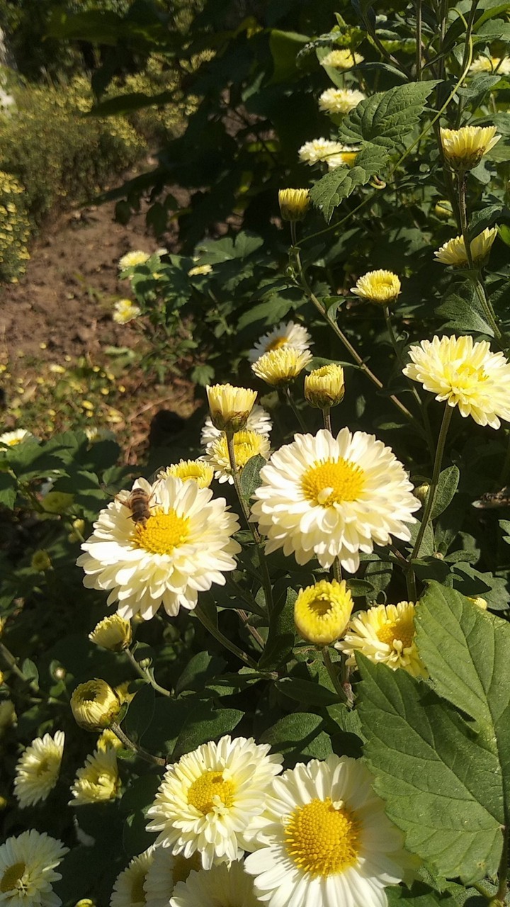 #ourgarden