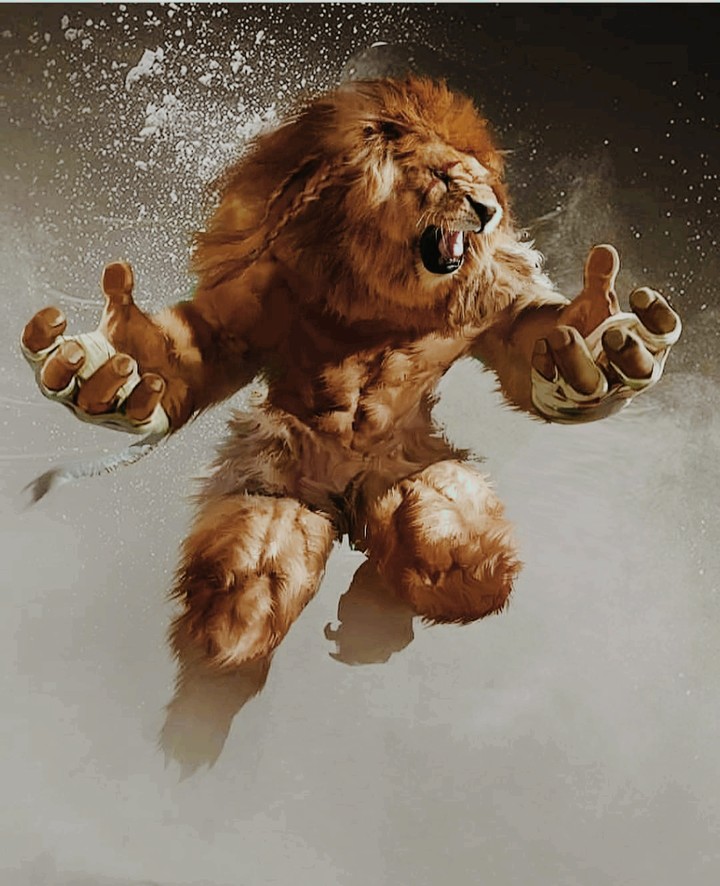 Lion - King of Jungle
