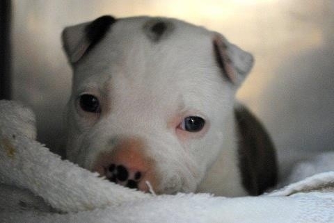 ♥️♥️♥️