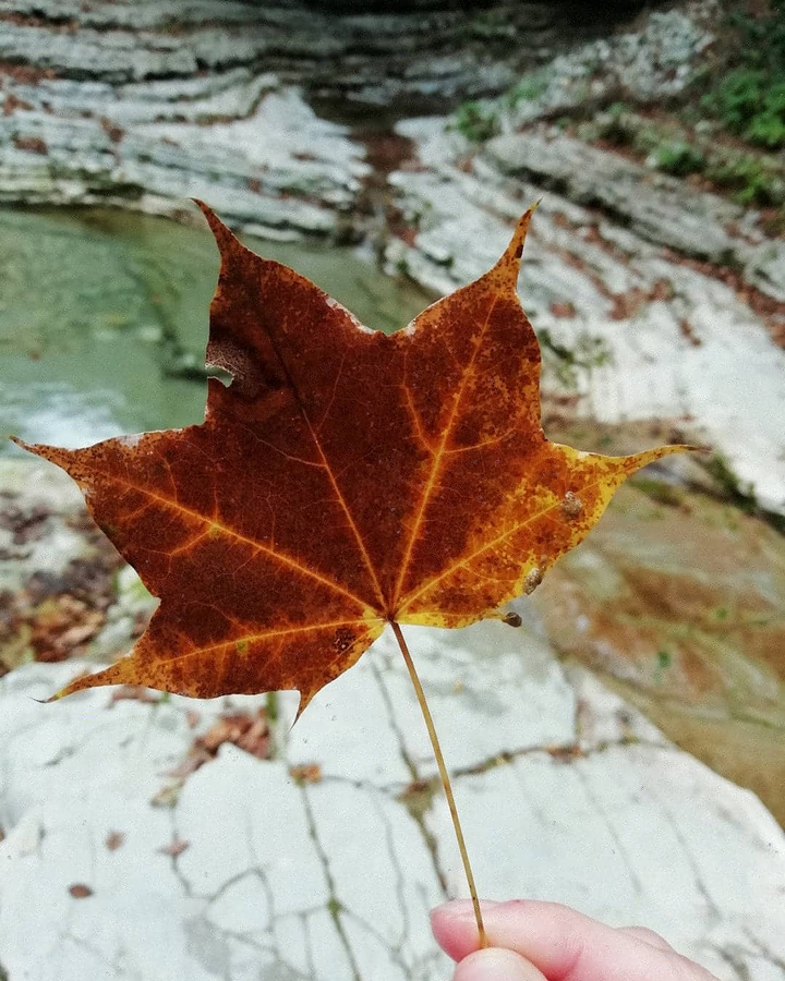 Autumn