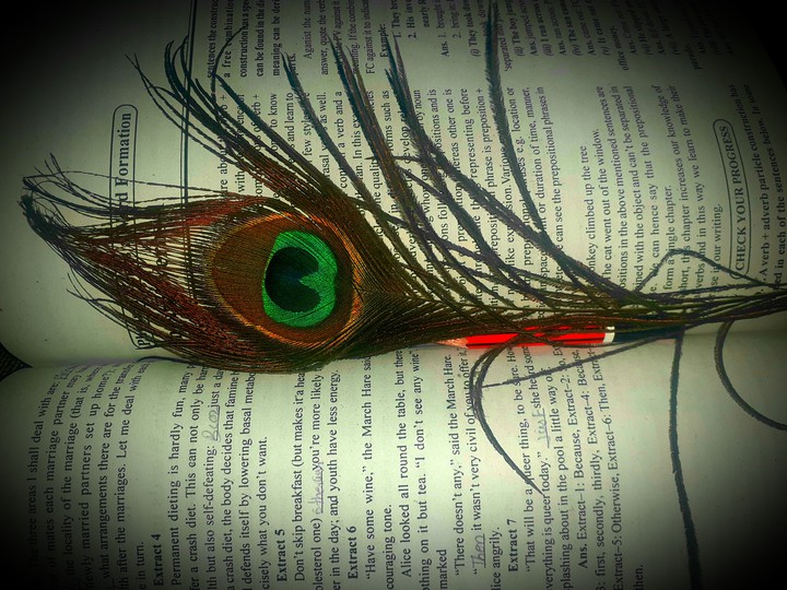 Book