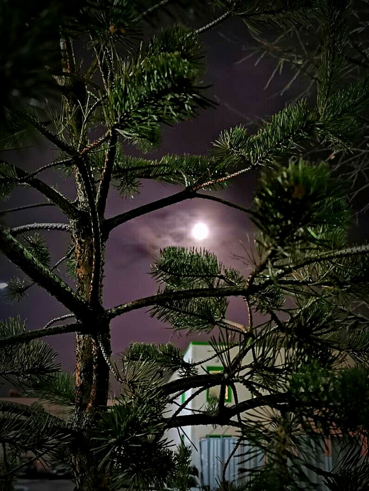 night