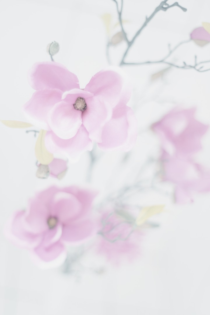 은밀하게