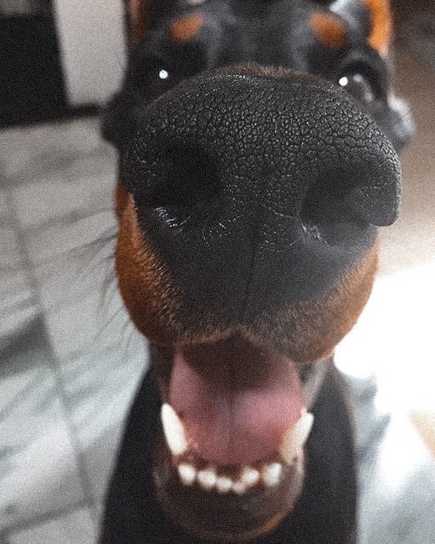 *
