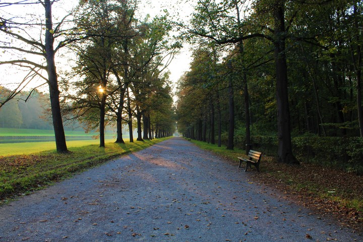Park