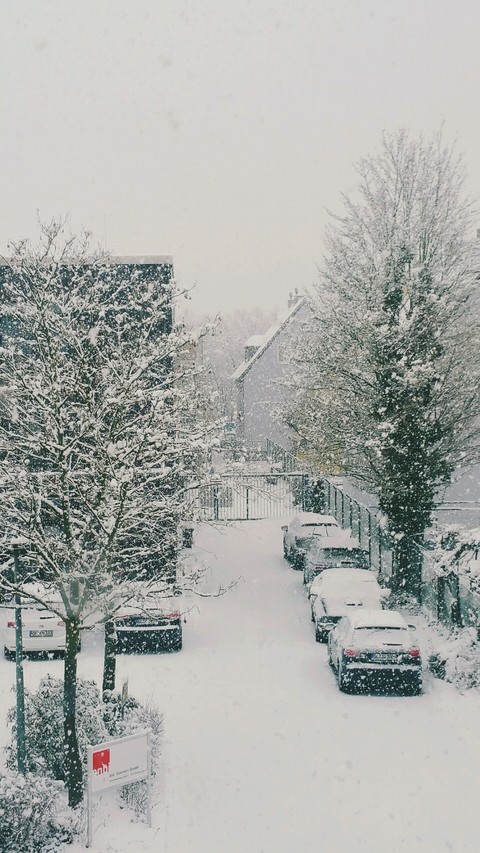 Snow