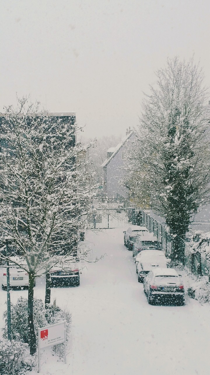 Snow