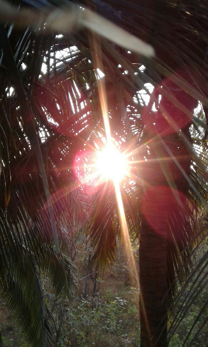 good morning