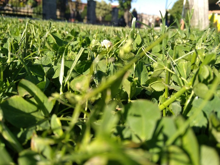 Spring
