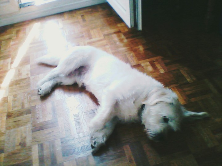 uty