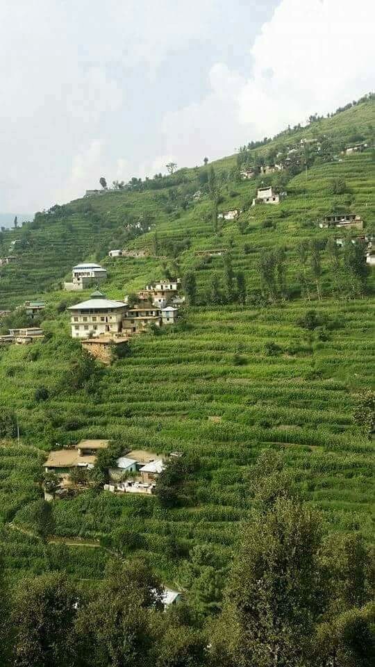 sawat