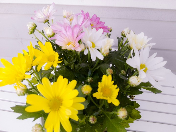 flowers