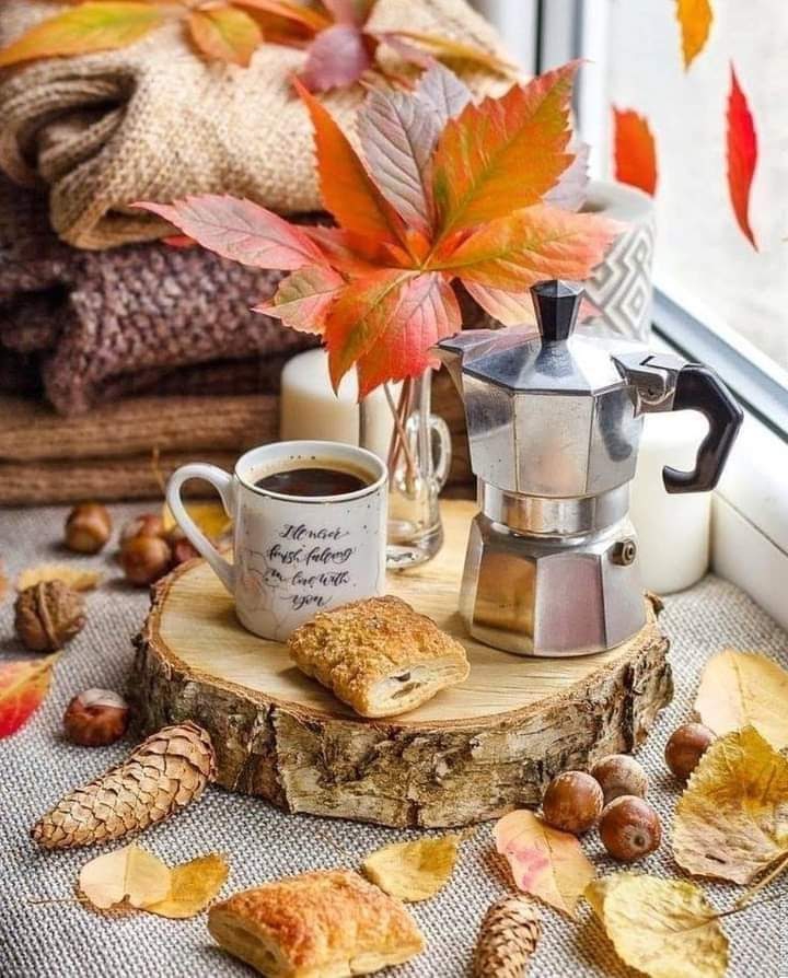 Good morning❤