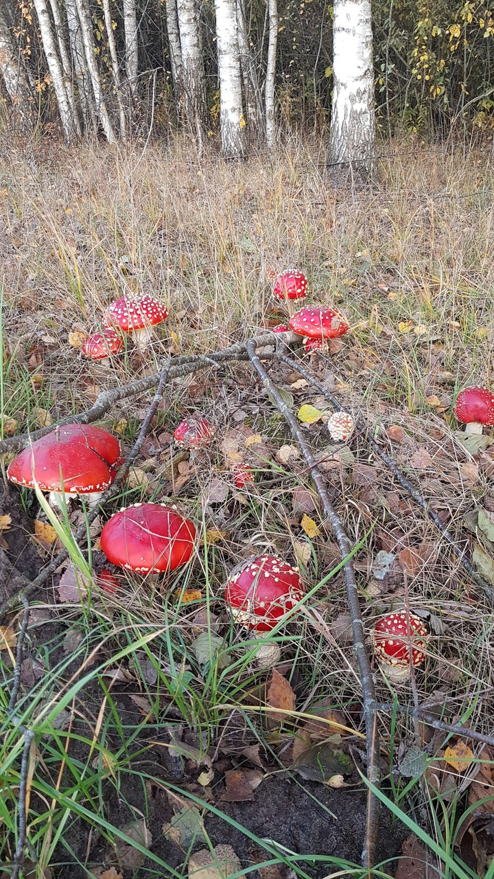 У больно они х0р0шИ @@@@@