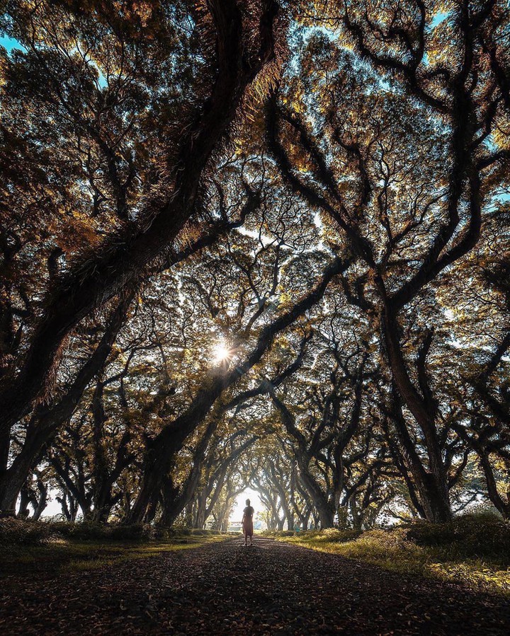 Nature