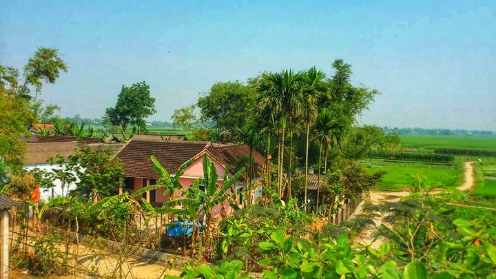 my country