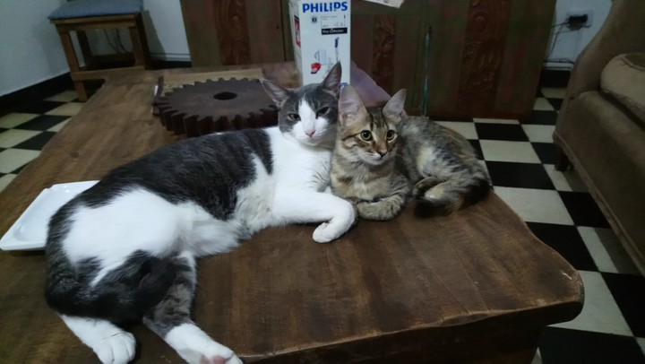 Friends