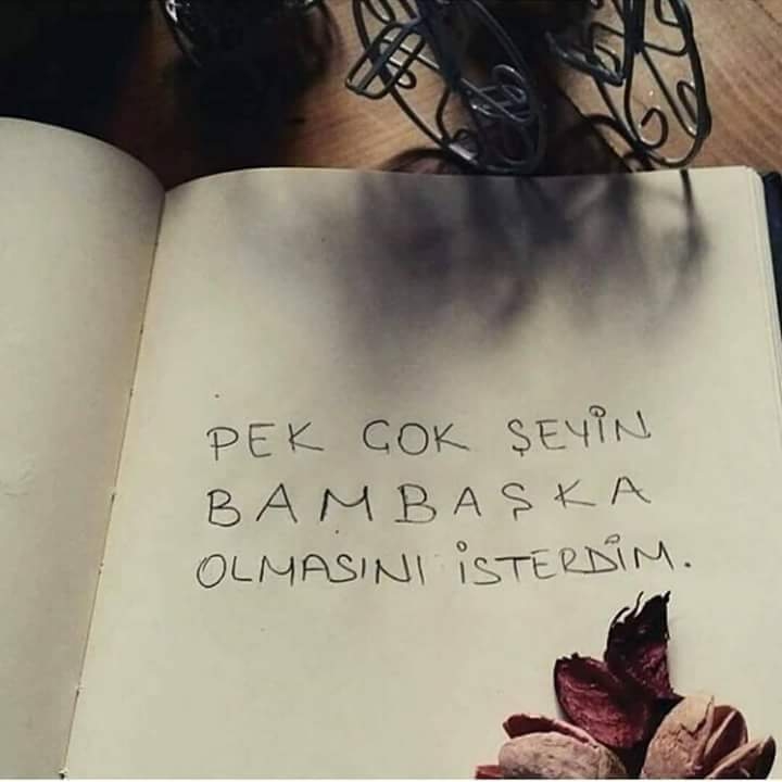 ❤❤❤❤