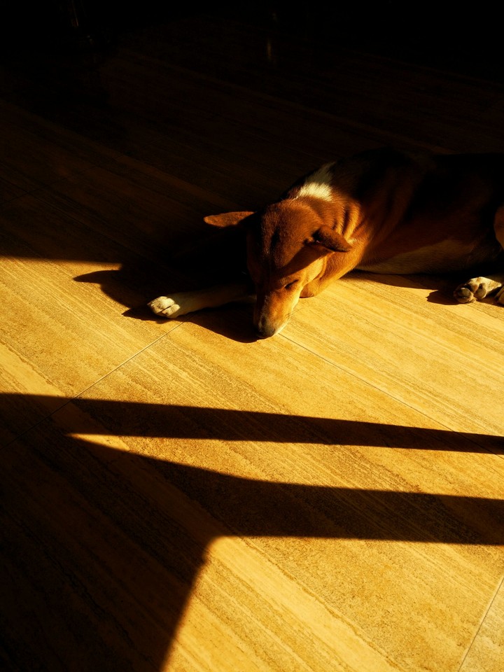 dogmatic!