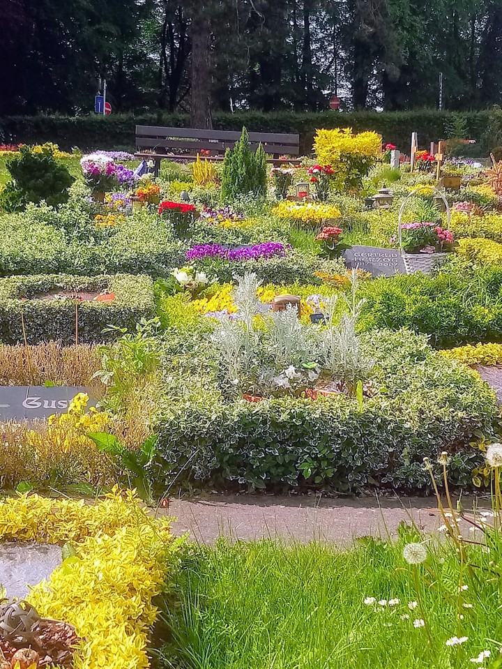 Sommer