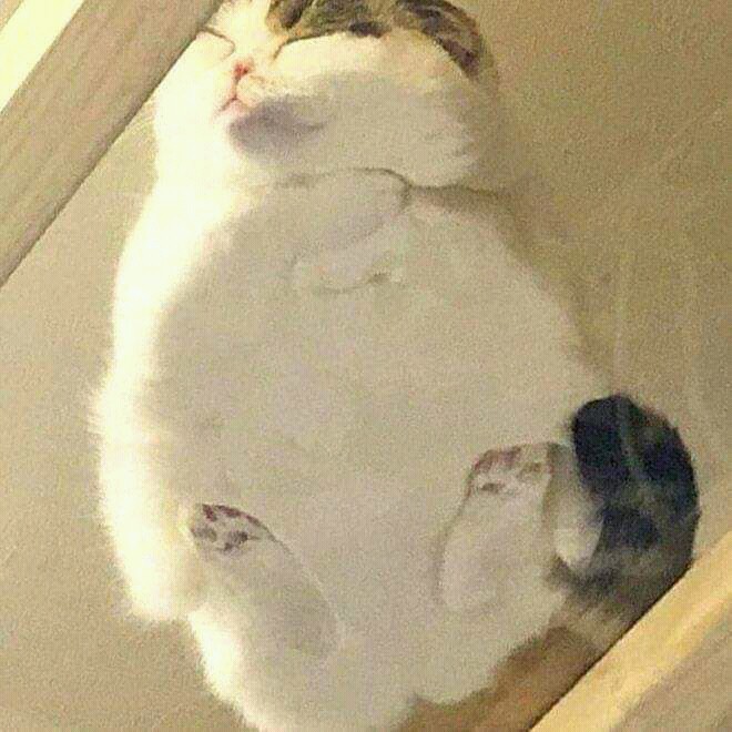 ❤?