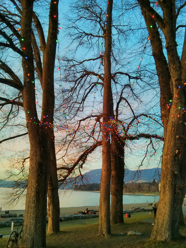 lights in park