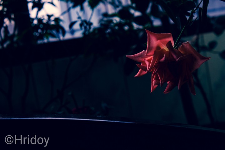 Some well kept secrets...
