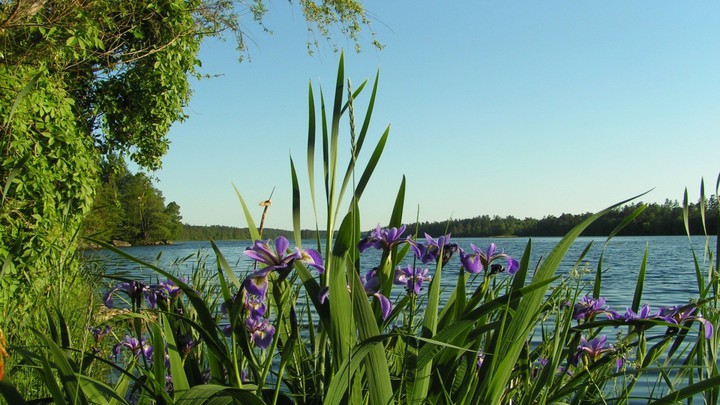 summer river