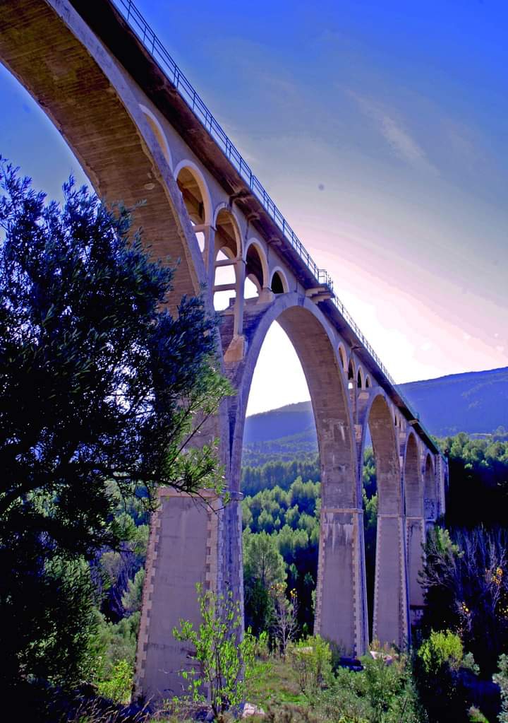 last bridge of the train