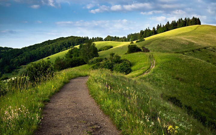 Nature way