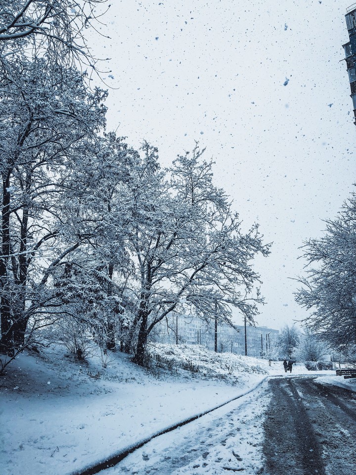 Winter is came❄️