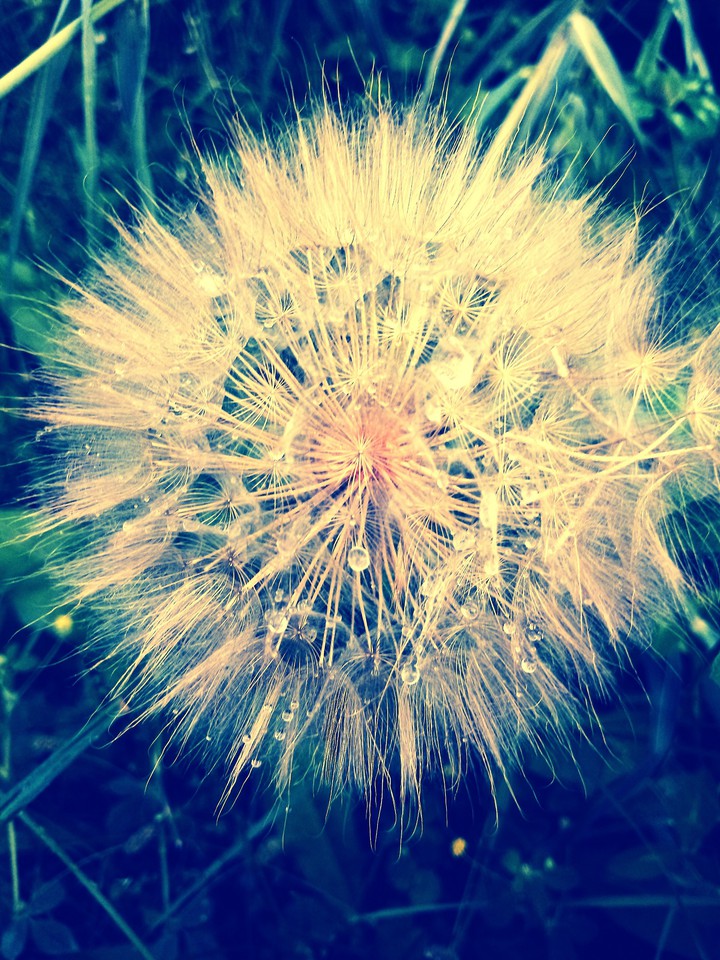 ~~~