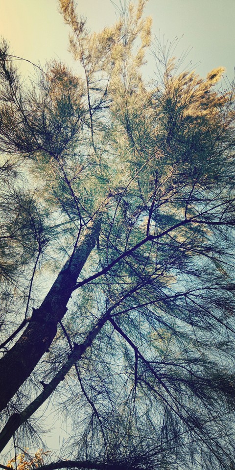 #green