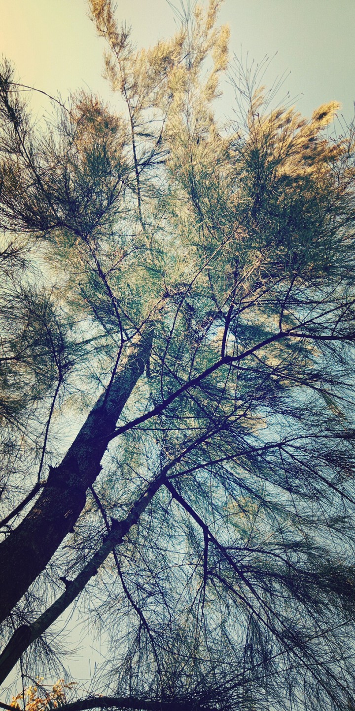 #green