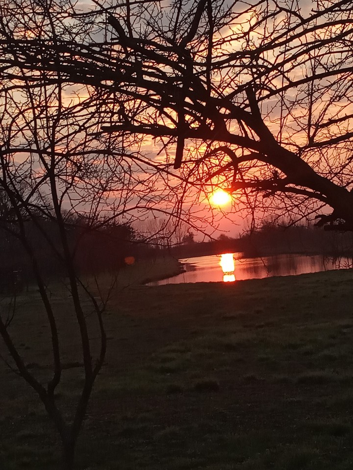Night Sunshine