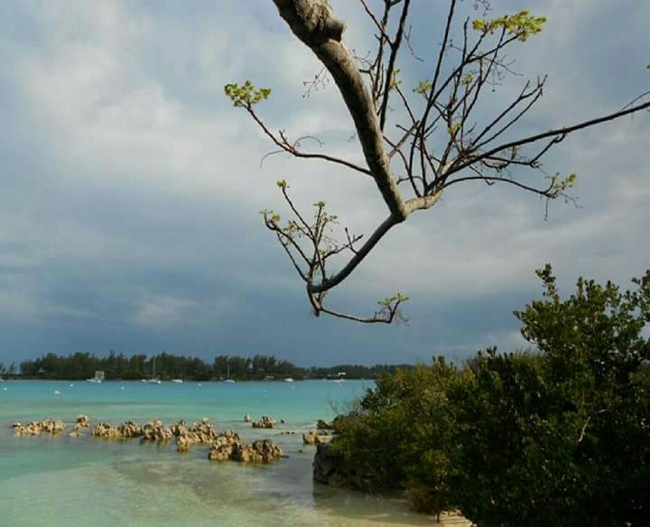 Bermuda
