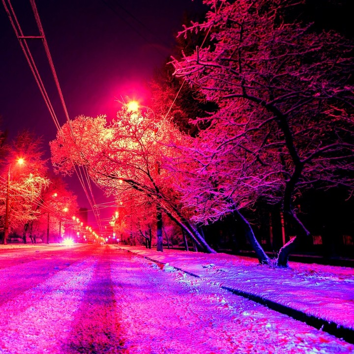 frozen
