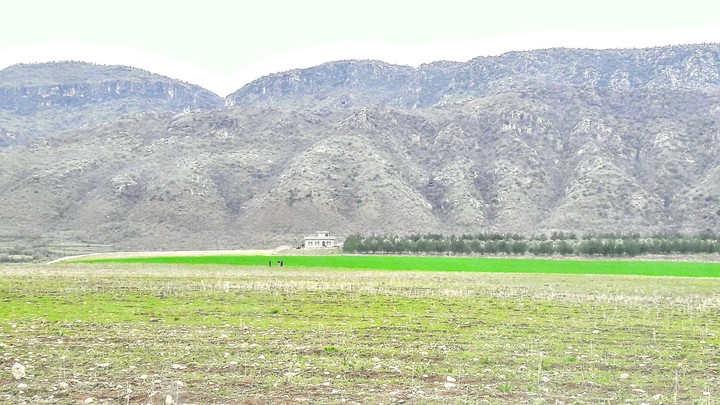 kurdistan