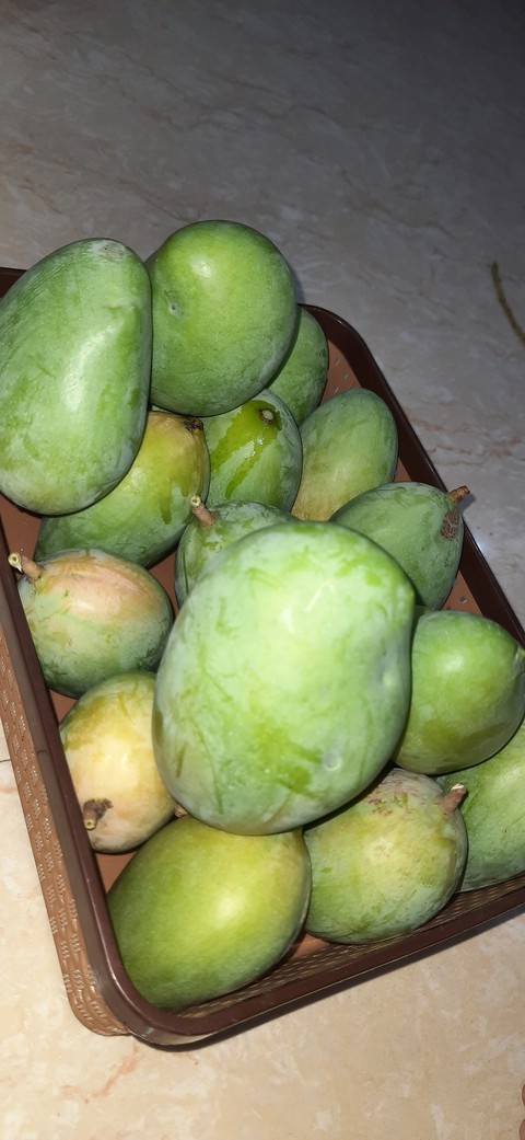 Mango