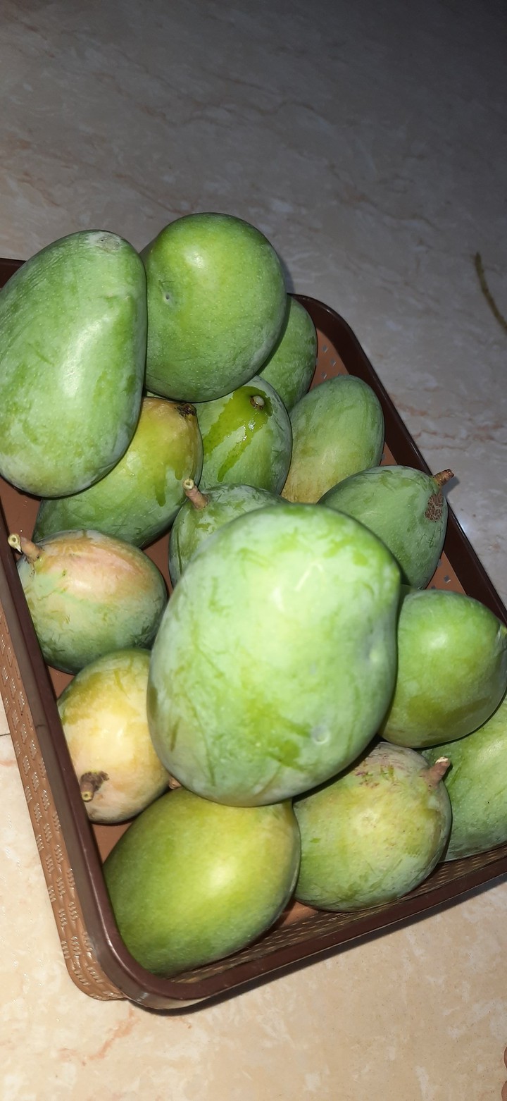 Mango