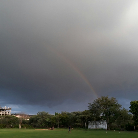 The rainbow