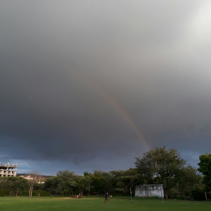 The rainbow
