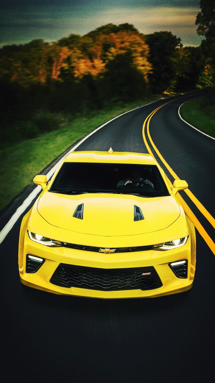 carsss